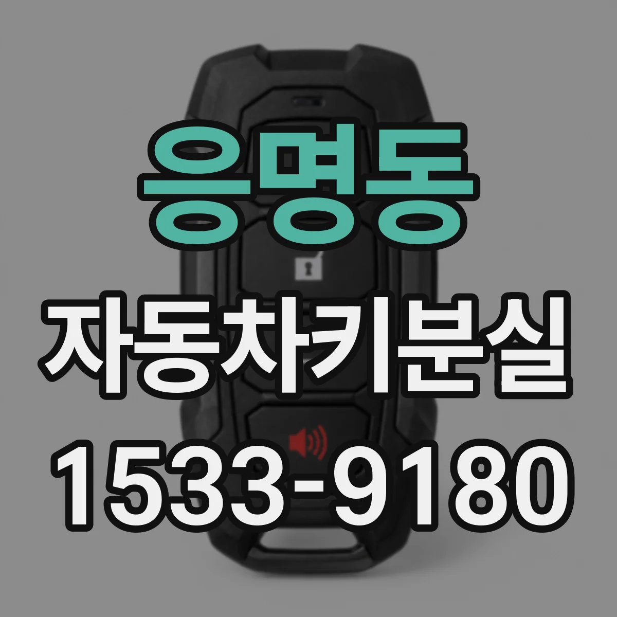 응명동 자동차키분실