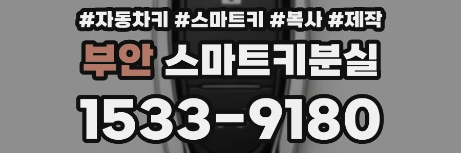 부안 스마트키분실