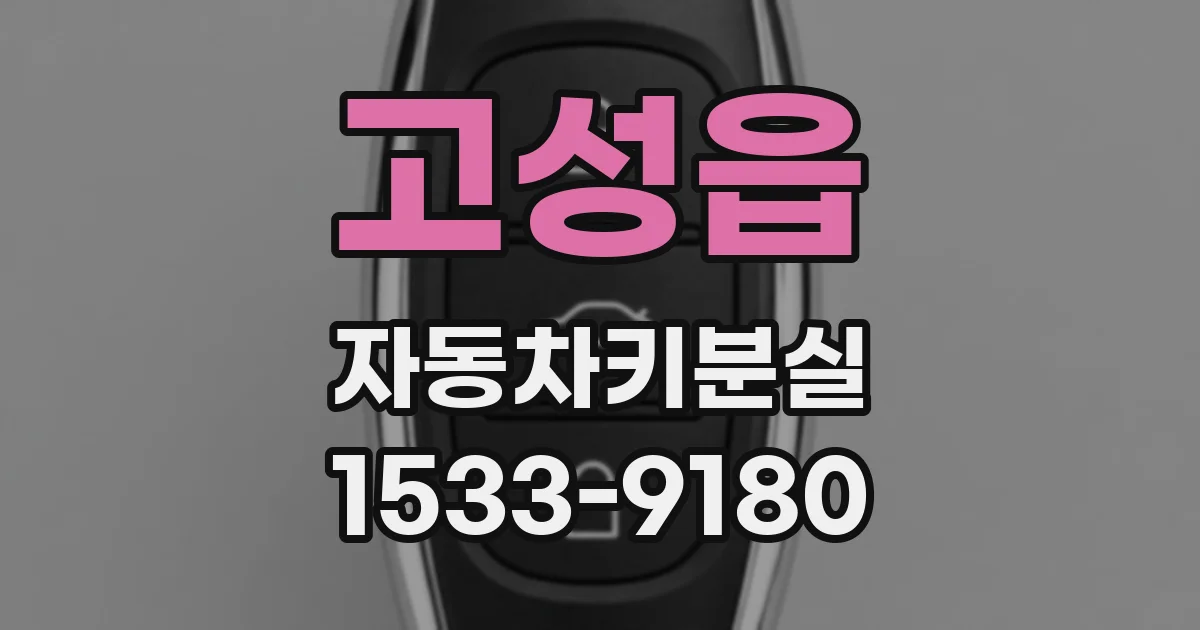 고성읍 자동차키분실