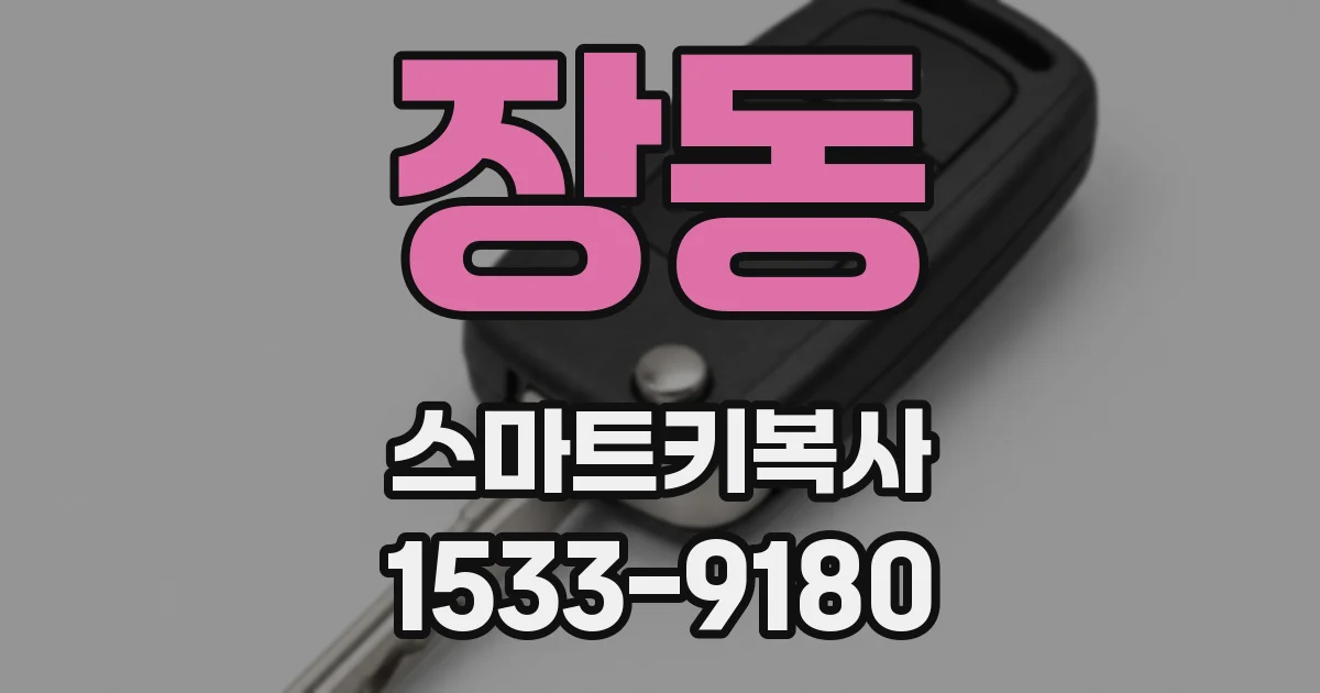 장동 스마트키복사