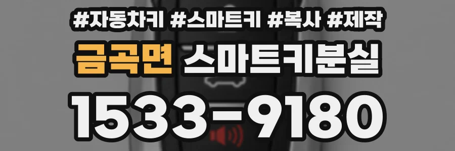 금곡면 스마트키분실