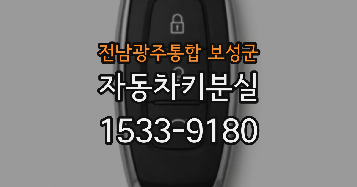 전남광주통합 보성군 자동차키분실