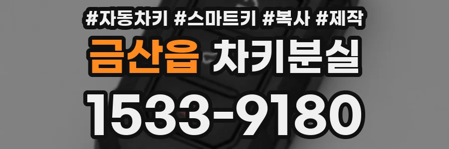 금산읍 차키분실