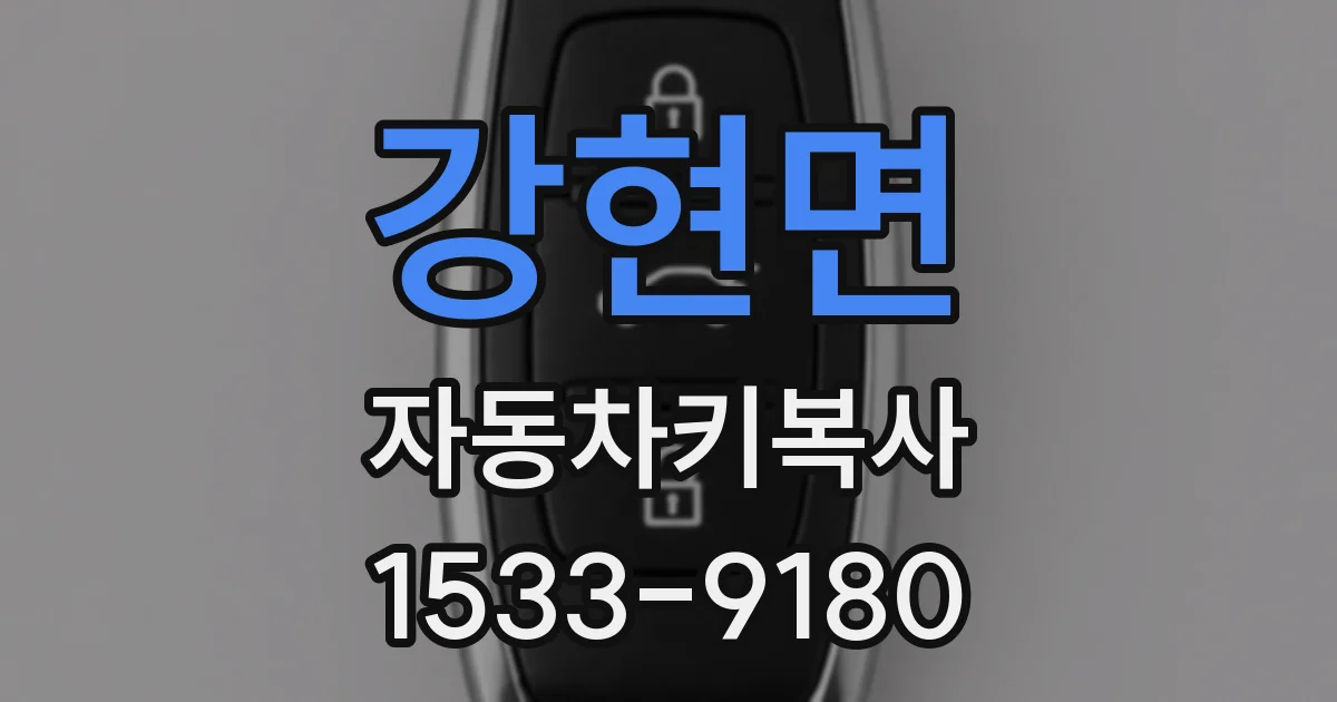 강현면 자동차키복사