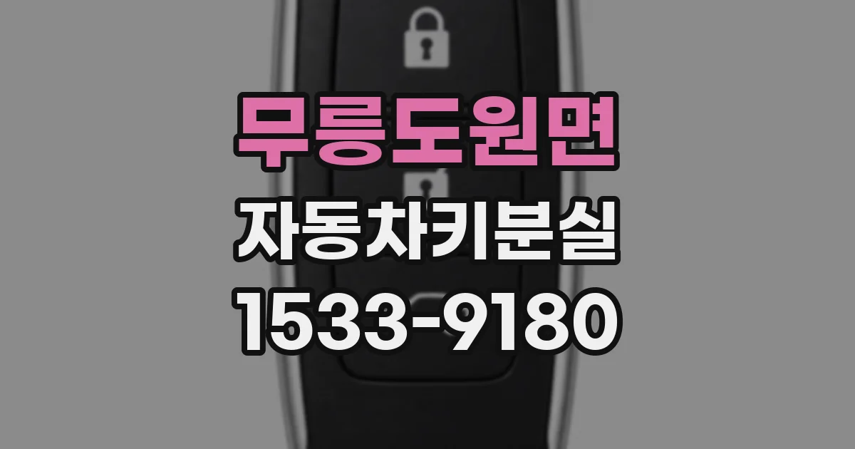무릉도원면 자동차키분실