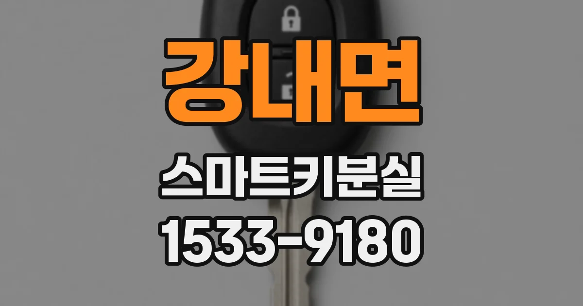강내면 스마트키분실
