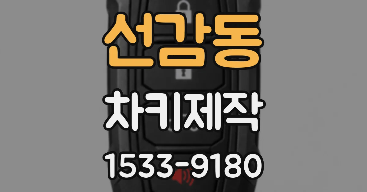 선감동 차키제작