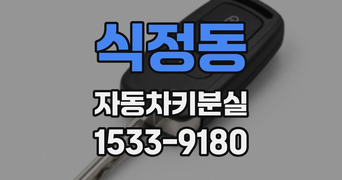 식정동 자동차키분실