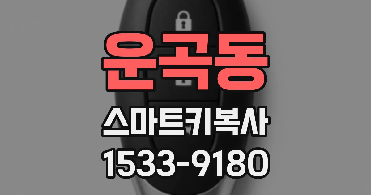 운곡동 스마트키복사