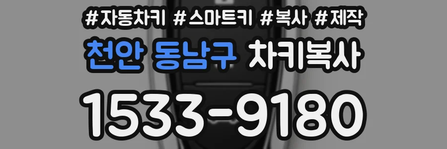 천안 동남구 차키복사