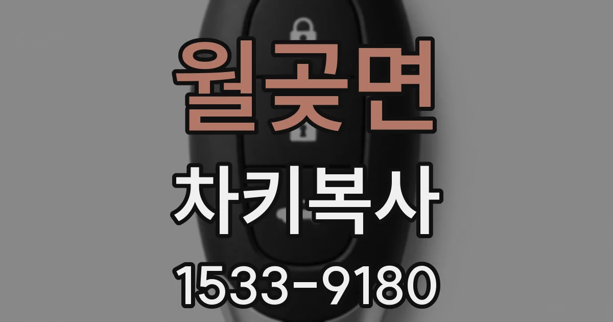 월곶면 차키복사