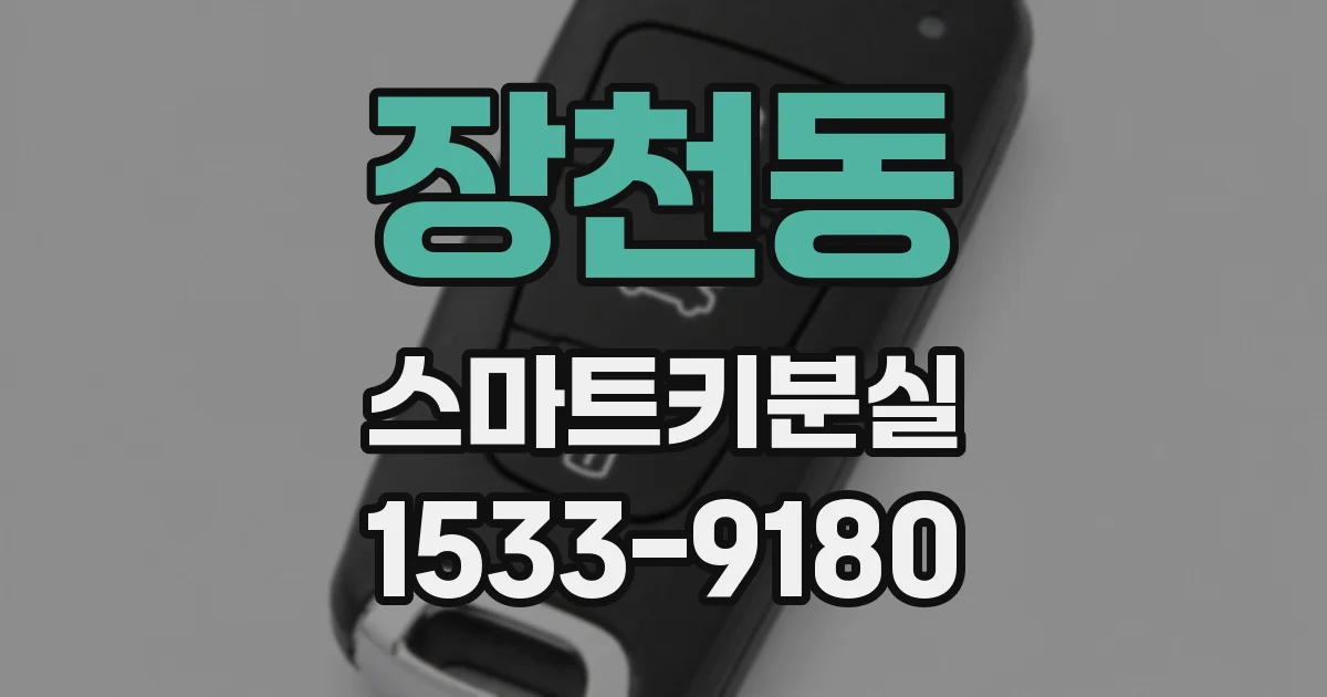 장천동 스마트키분실