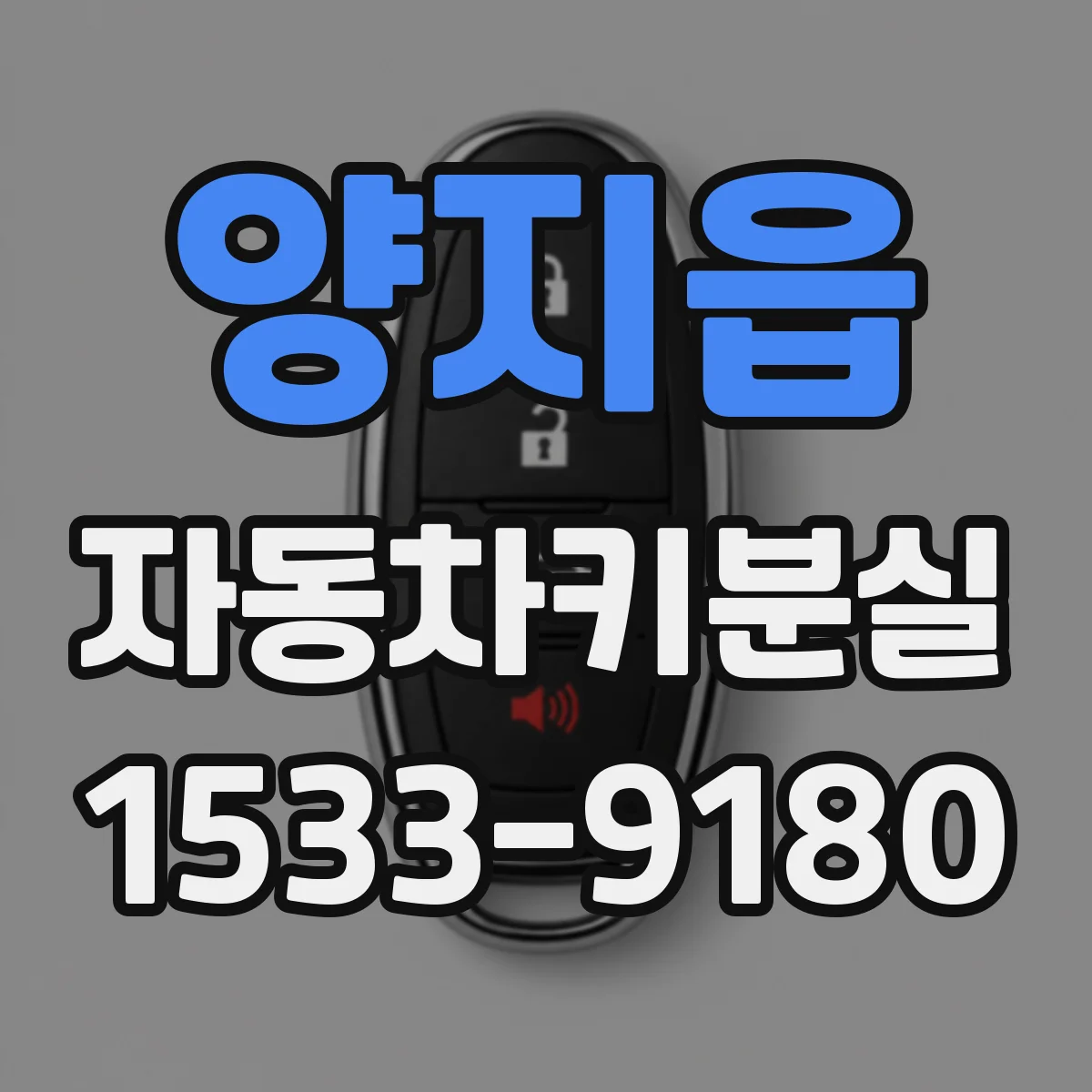 양지읍 자동차키분실
