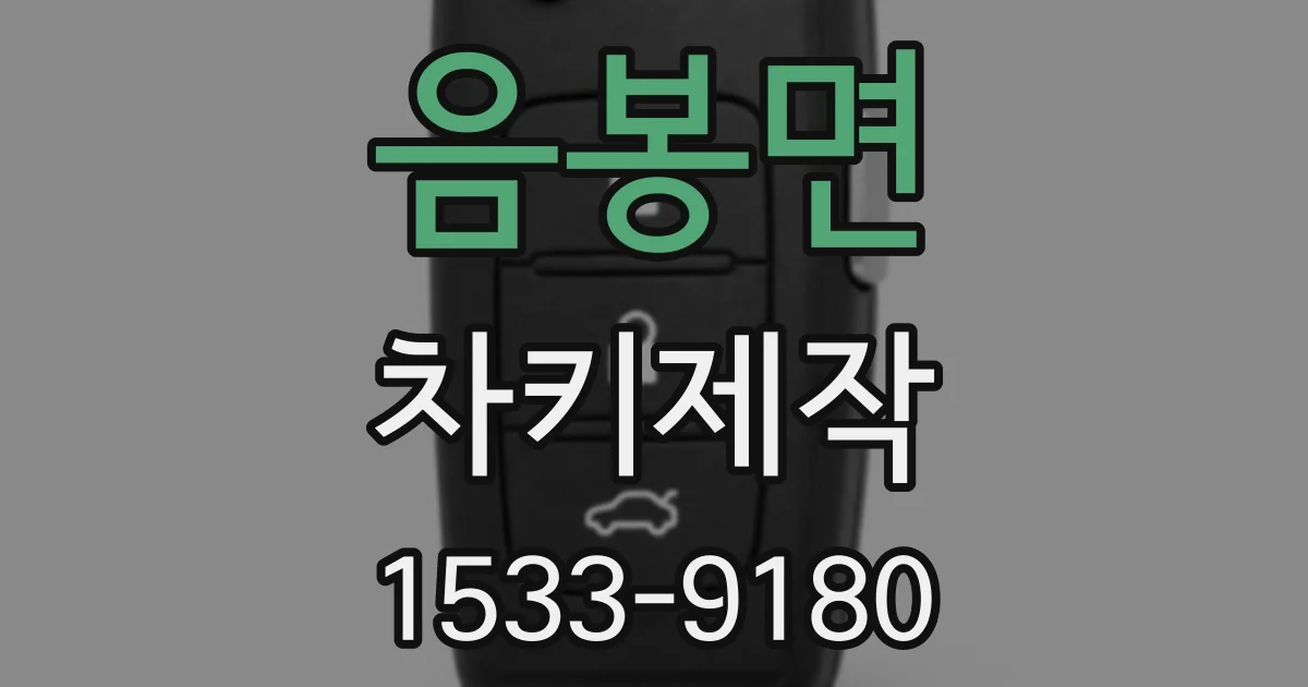 음봉면 차키제작