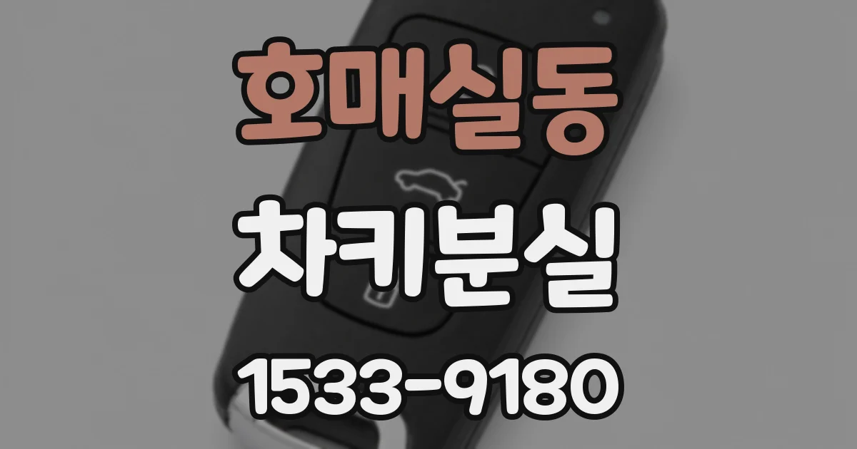 호매실동 차키분실