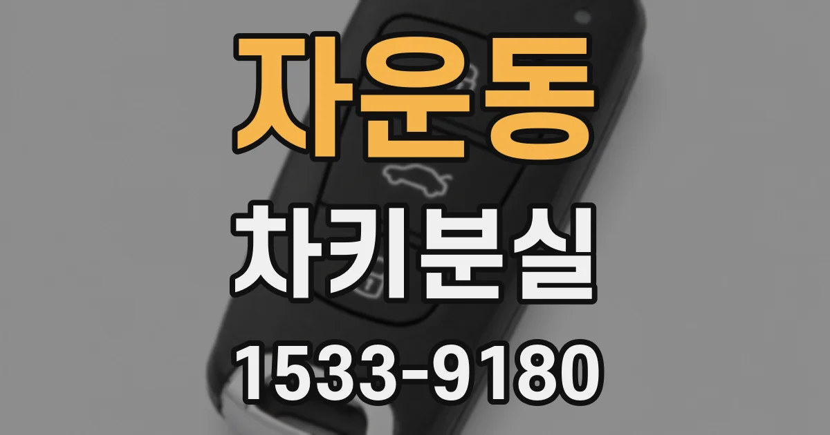자운동 차키분실