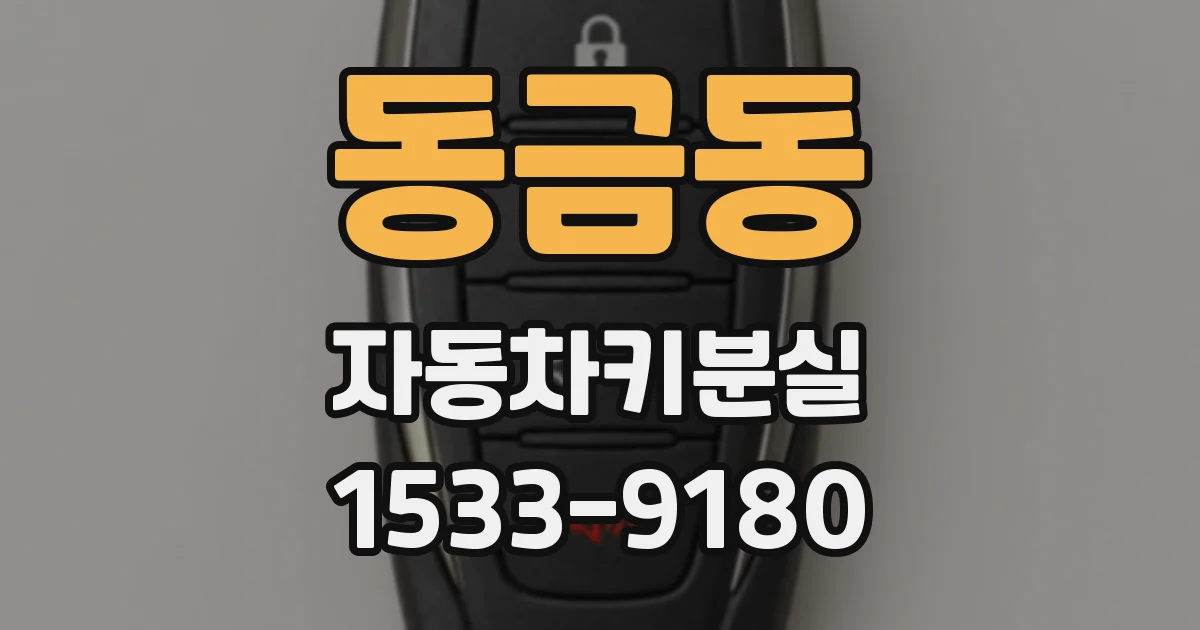 동금동 자동차키분실