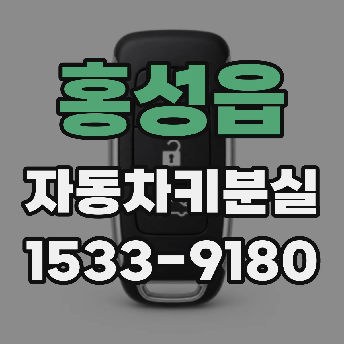 홍성읍 자동차키분실