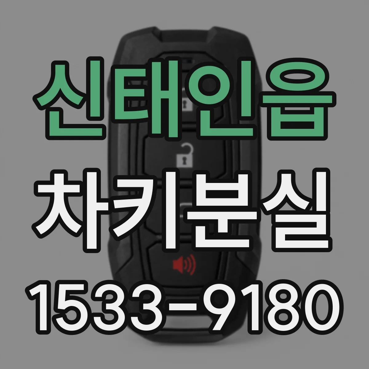 신태인읍 차키분실