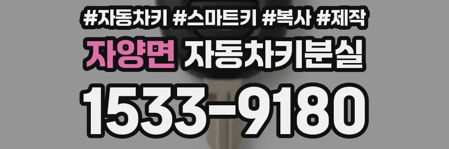 자양면 자동차키분실
