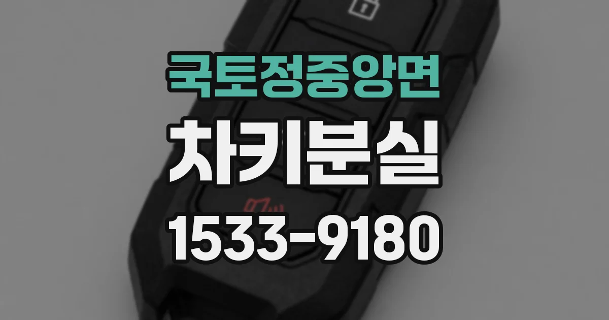 국토정중앙면 차키분실