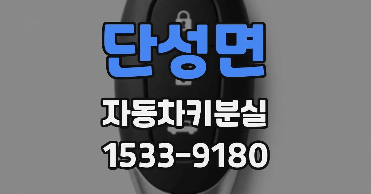 단성면 자동차키분실