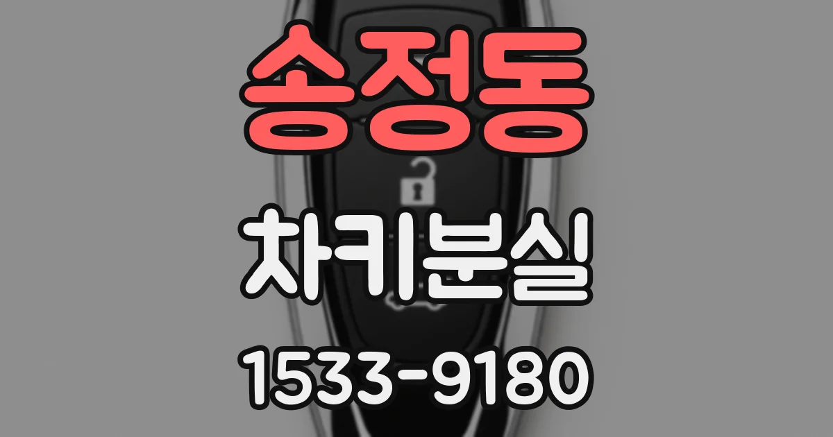 송정동 차키분실