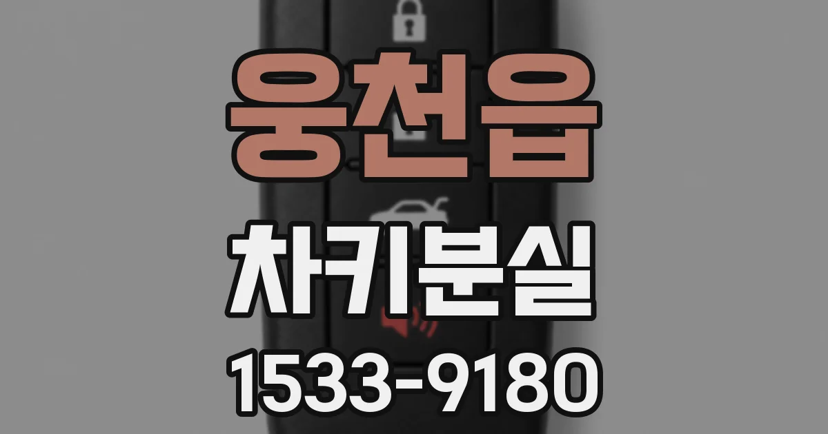 웅천읍 차키분실