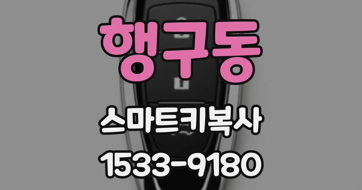 행구동 스마트키복사