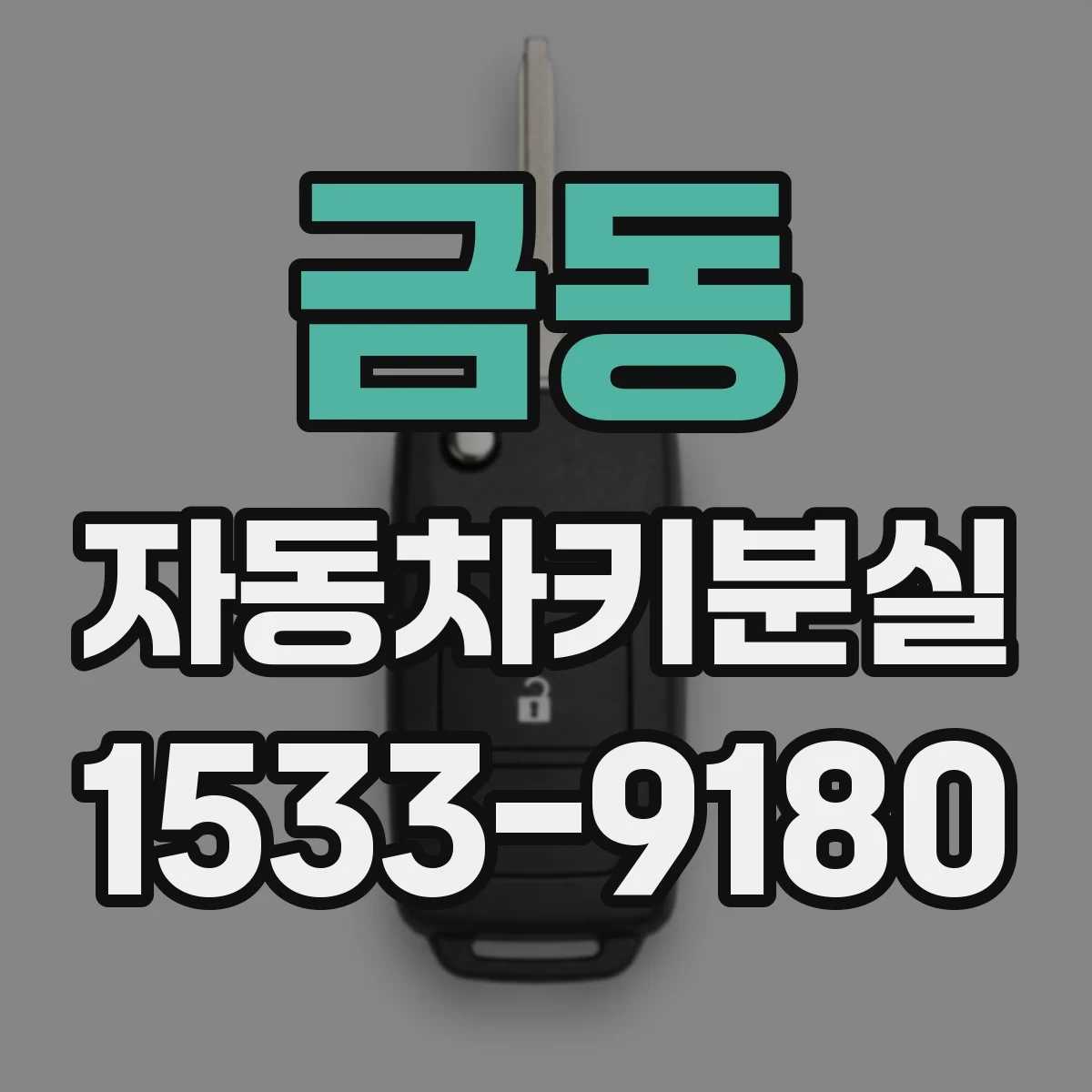금동 자동차키분실