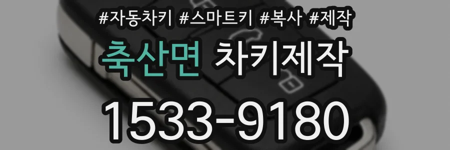 축산면 차키제작