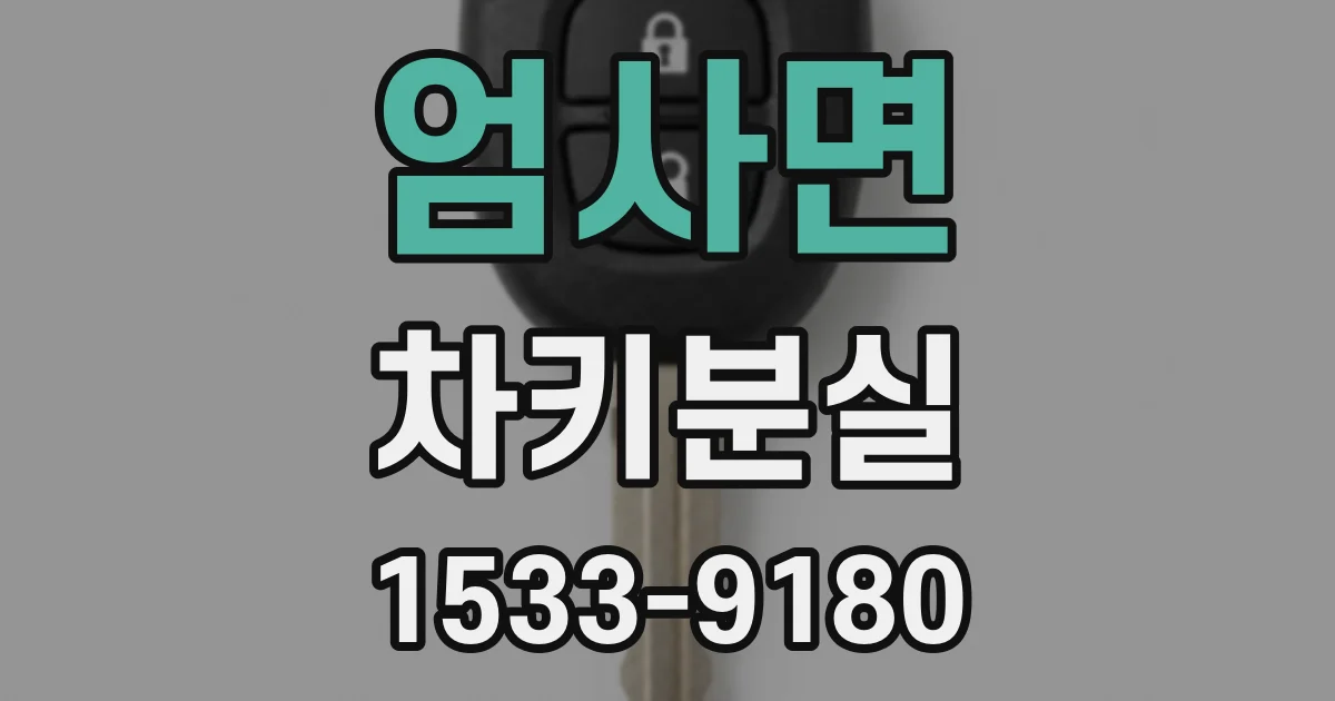 엄사면 차키분실