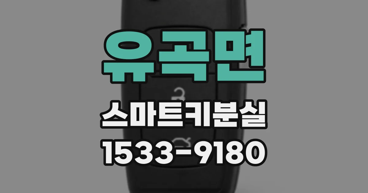 유곡면 스마트키분실