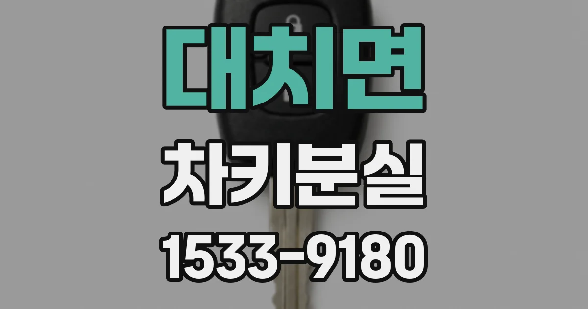 대치면 차키분실