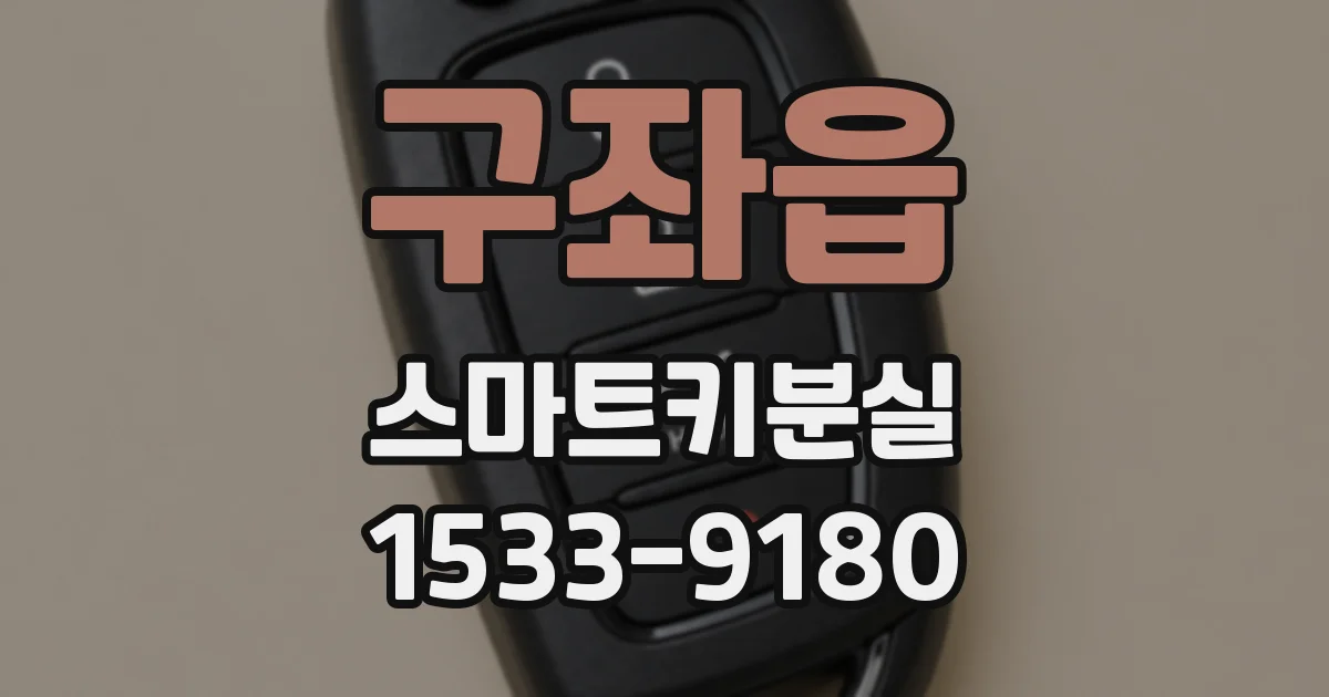 구좌읍 스마트키분실