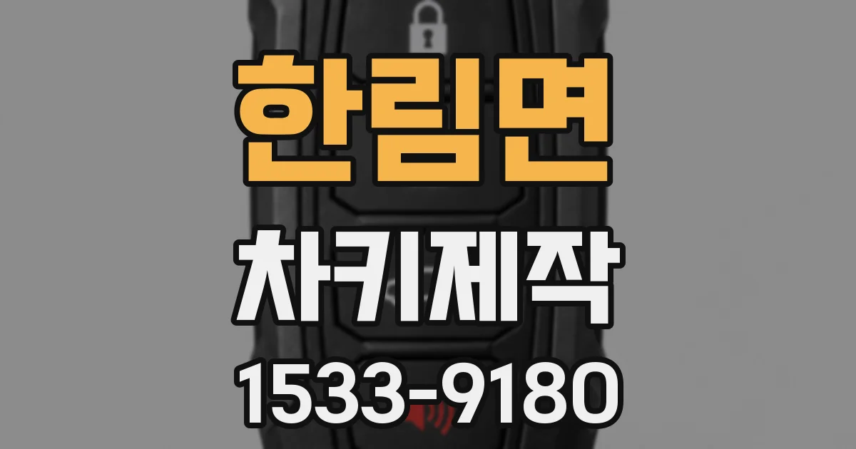 한림면 차키제작