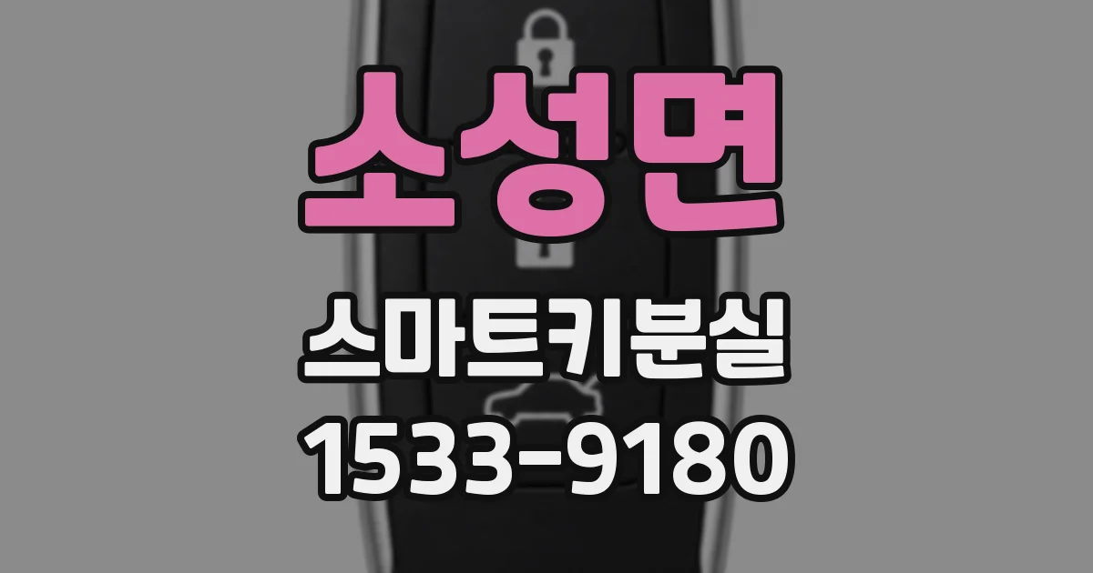 소성면 스마트키분실