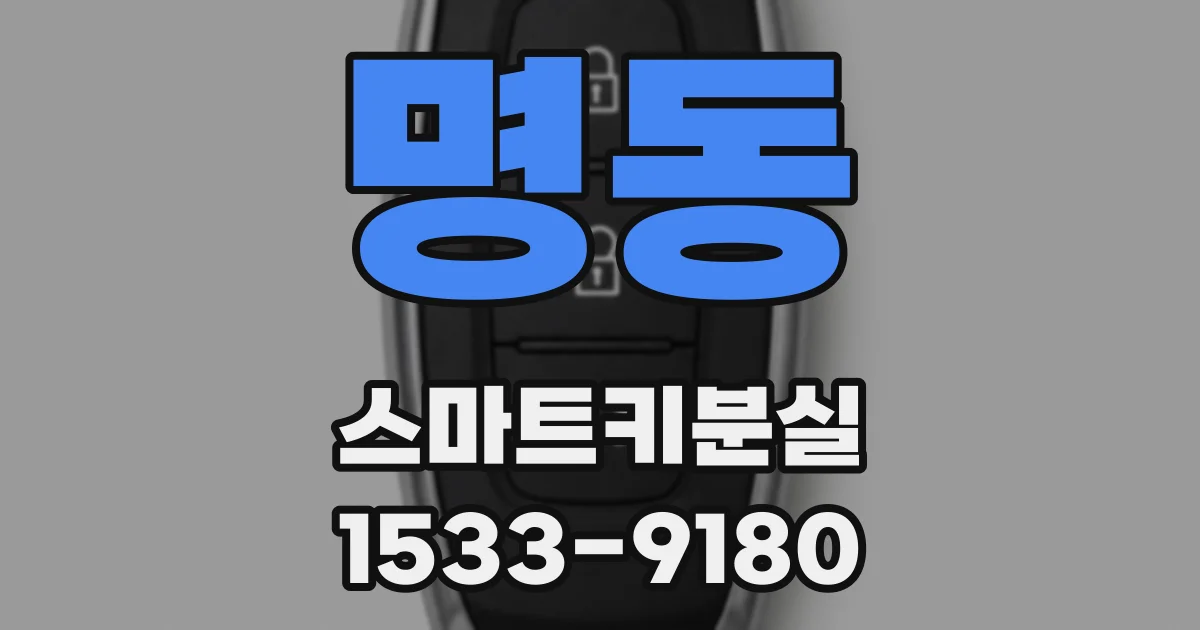 명동 스마트키분실