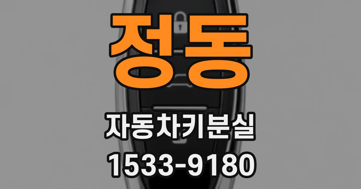 정동 자동차키분실