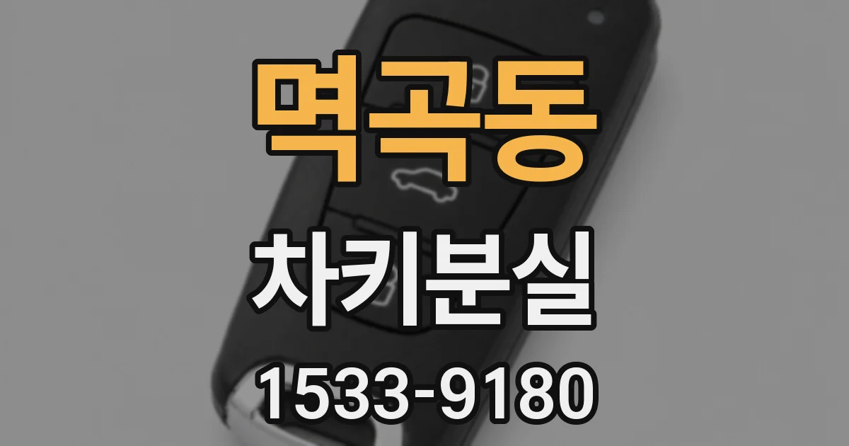 멱곡동 차키분실