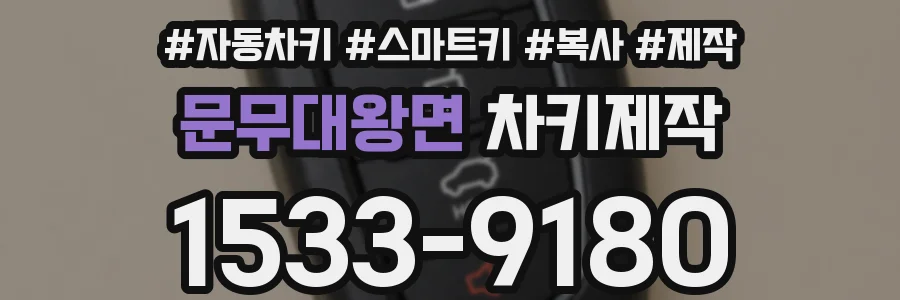 문무대왕면 차키제작