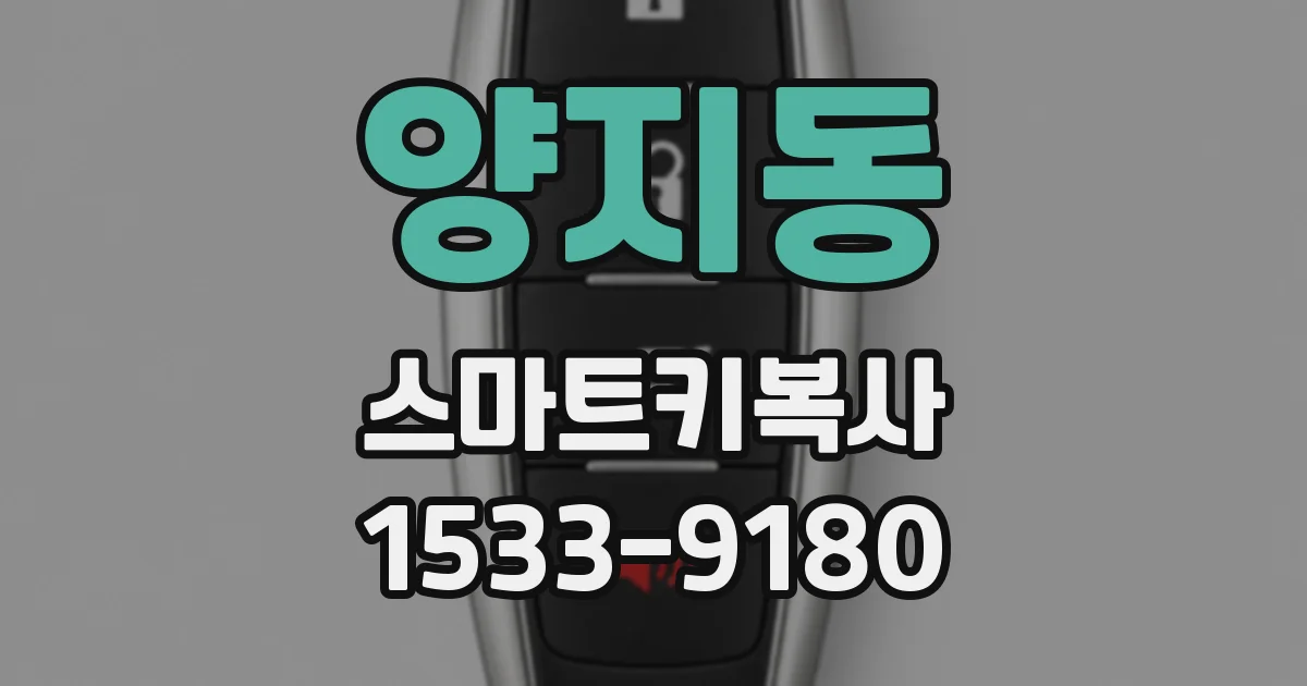 양지동 스마트키복사