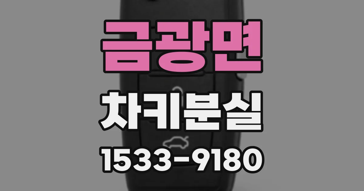 금광면 차키분실