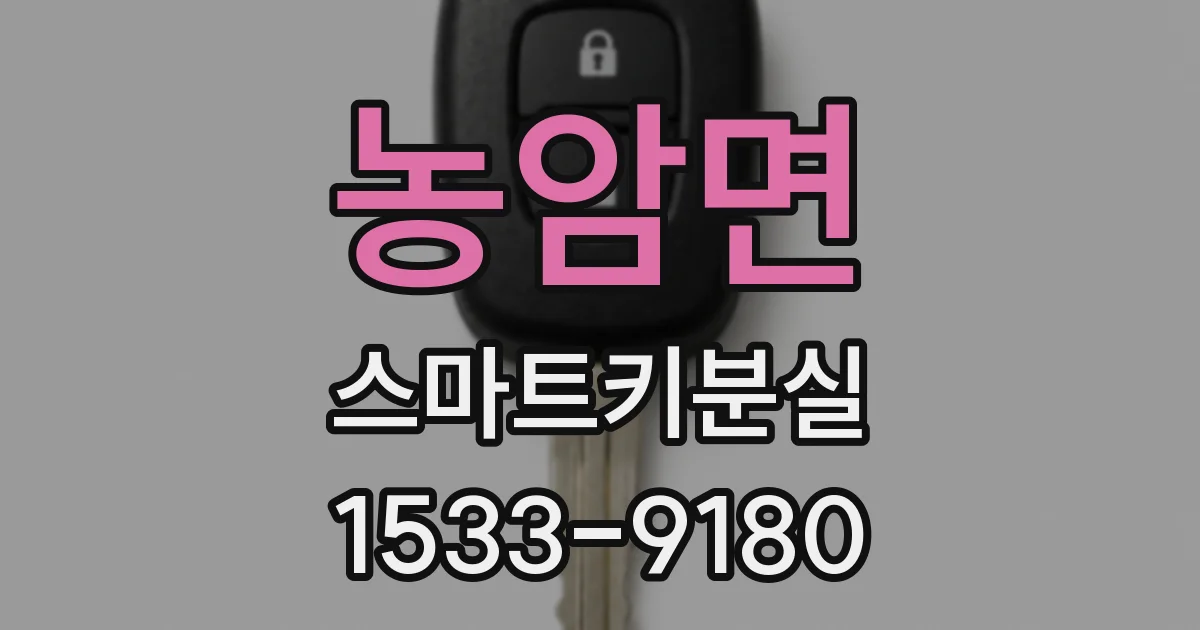 농암면 스마트키분실