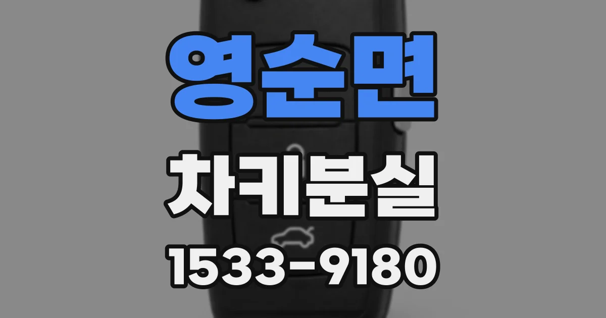영순면 차키분실