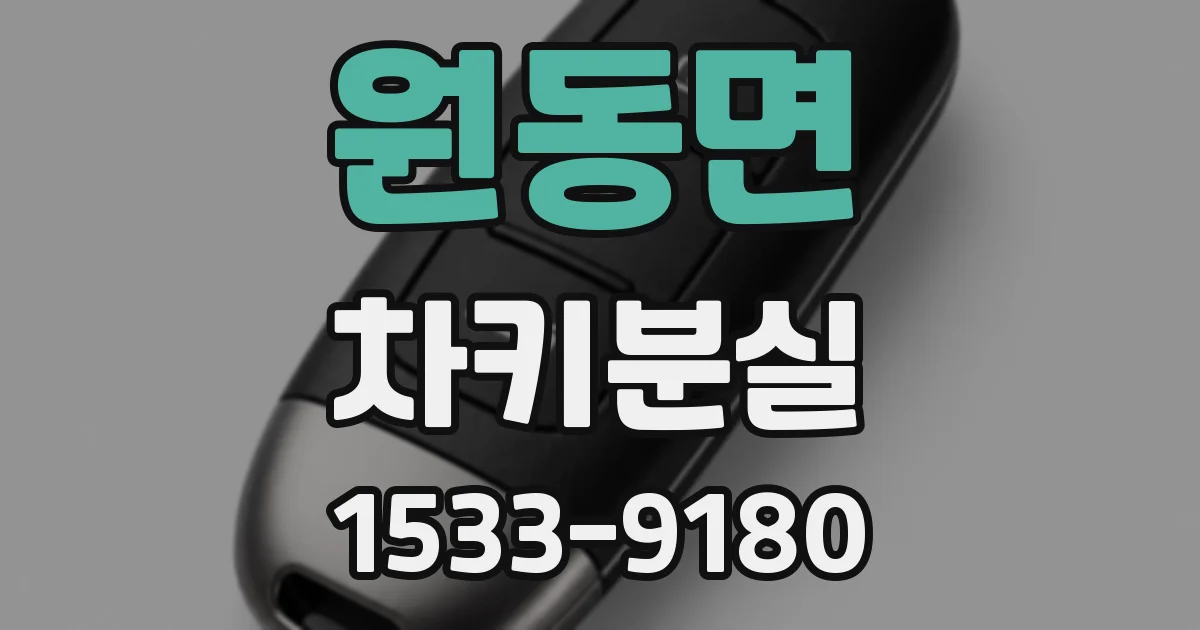 원동면 차키분실