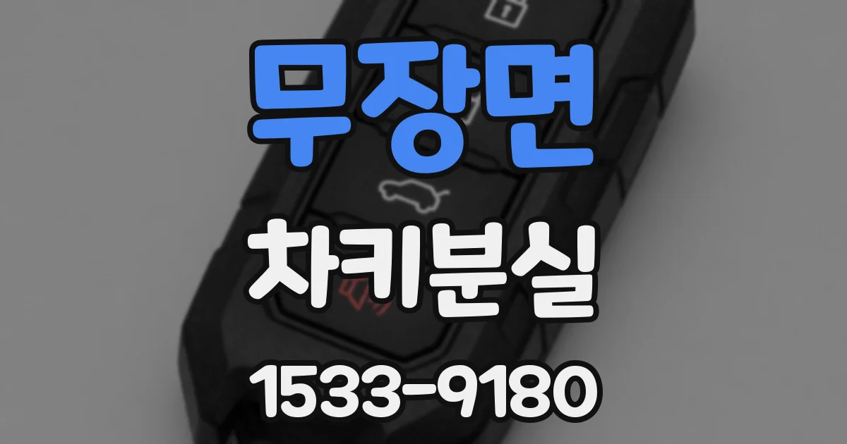 무장면 차키분실