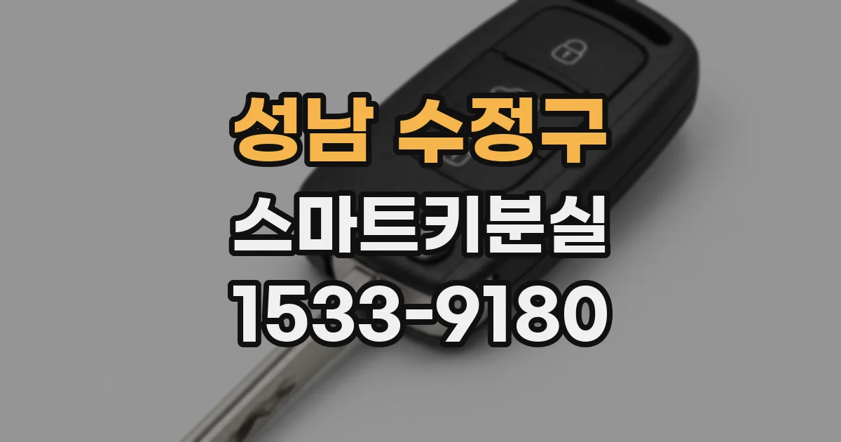 성남 수정구 스마트키분실