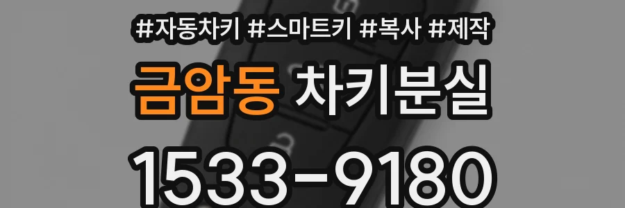 금암동 차키분실
