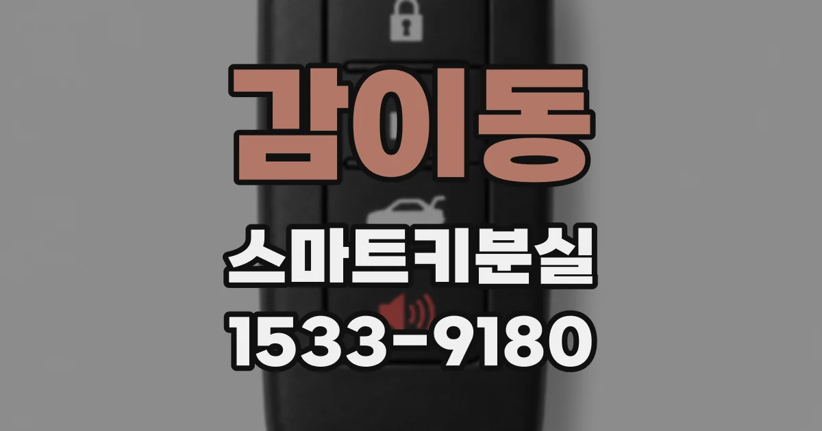 감이동 스마트키분실